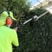 Hedge Maintenance Service Auckland: Expert Hedge Care