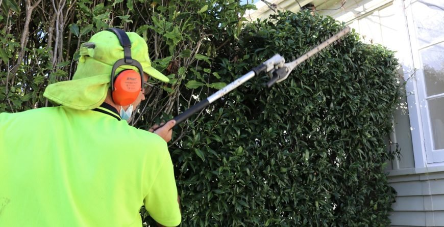 Worker in hi-vis gear using powered hedge trimmer on dense ivy-covered hedge against house.