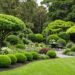 Garden Maintenance Auckland: Professional Services for Beautiful Gardens