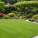 Professional Garden Maintenance Auckland: Full-Service Care Beyond Mowing