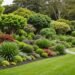 Auckland Garden Maintenance: Your Complete Seasonal Guide
