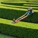 Hedge Trimming Auckland: Professional Services for Beautiful Hedges