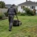 Professional Lawn Care Auckland: More Than Just Mowing